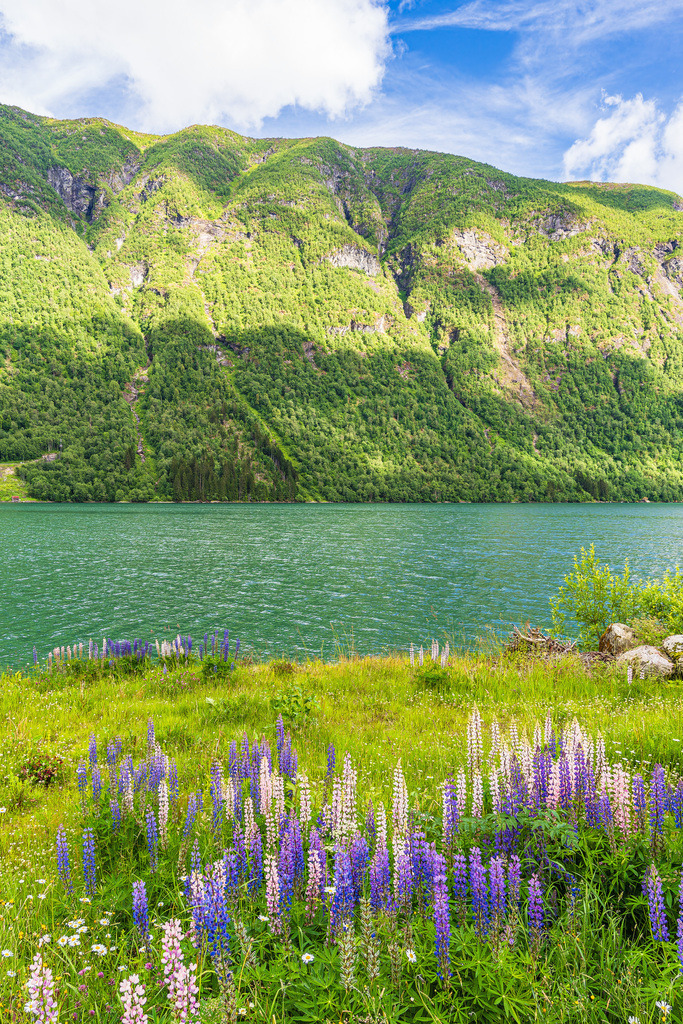 Blick über den Fjærlandfsjord in Norwegen | Blick über den Fjærlandfsjord in Norwegen.