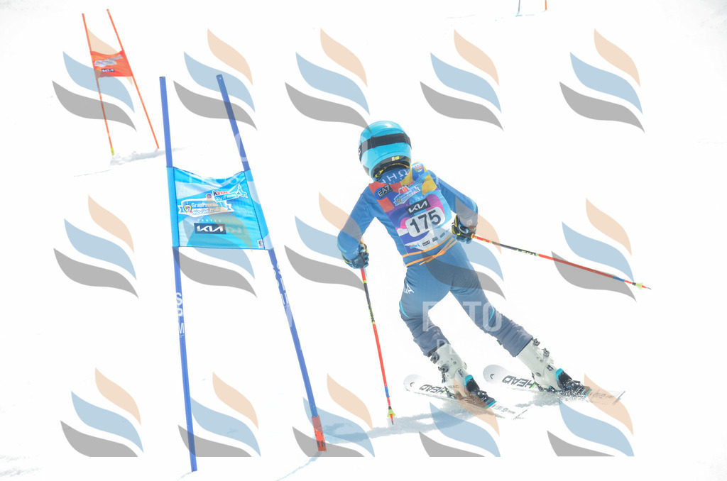 _ELE6614 | holidayphoto