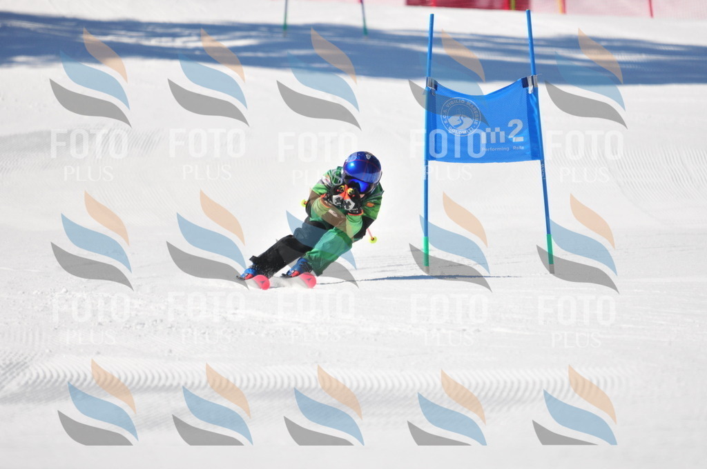 C3726 | holidayphoto