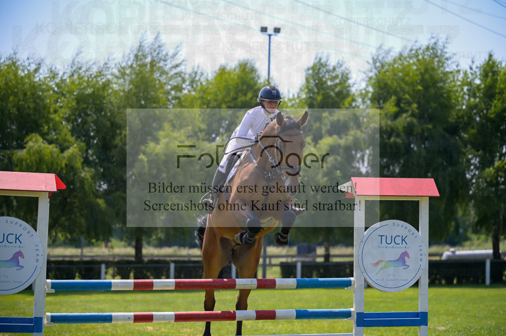 Reitturnier Voxtrup | Entdecke hochwertige Reitturnierfotos von Foto Oger. Professionell, emotional und authentisch – jetzt Lieblingsmomente im Shop bestellen.Deutschlandweite Turnierfotografie. - Realisiert mit Pictrs.com