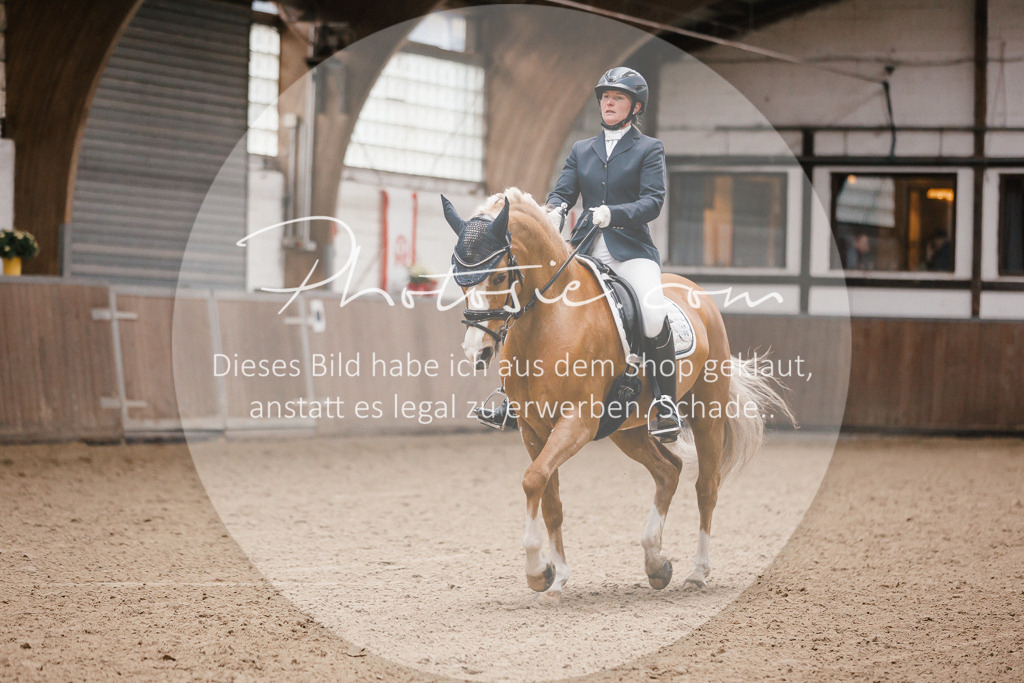 3I6A6260 | Stimmungsvolle Portraits und Reitsportfotografie im Ruhrgebiet und im Münsterland.

Pferdefotografie, Hundefotografie, Tierfotografie, Reportagen, Portraits von Tier und Mensch, Turnierfotografie in Bochum, Recklinghausen, Marl, Haltern am See, Dülmen.. - Realisiert mit Pictrs.com