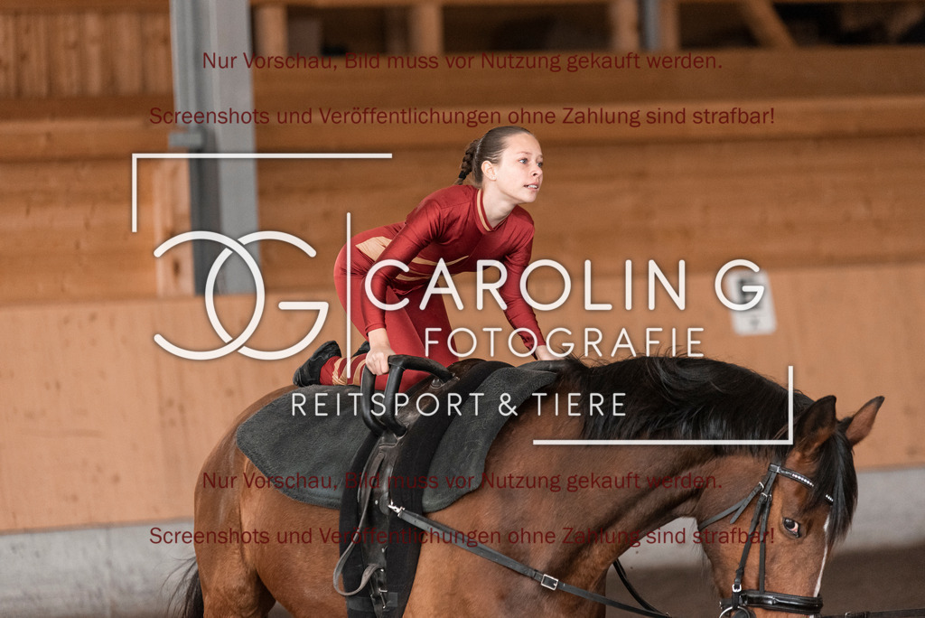 DSC_2031 | Turnierfotografin Carolin Gieschke,Reitsport Turnierfotografie Carolin G Fotografie | Turnierfotos aus Kirchheim/Teck, Esslingen, Stuttgart und dem Bodenseekreis