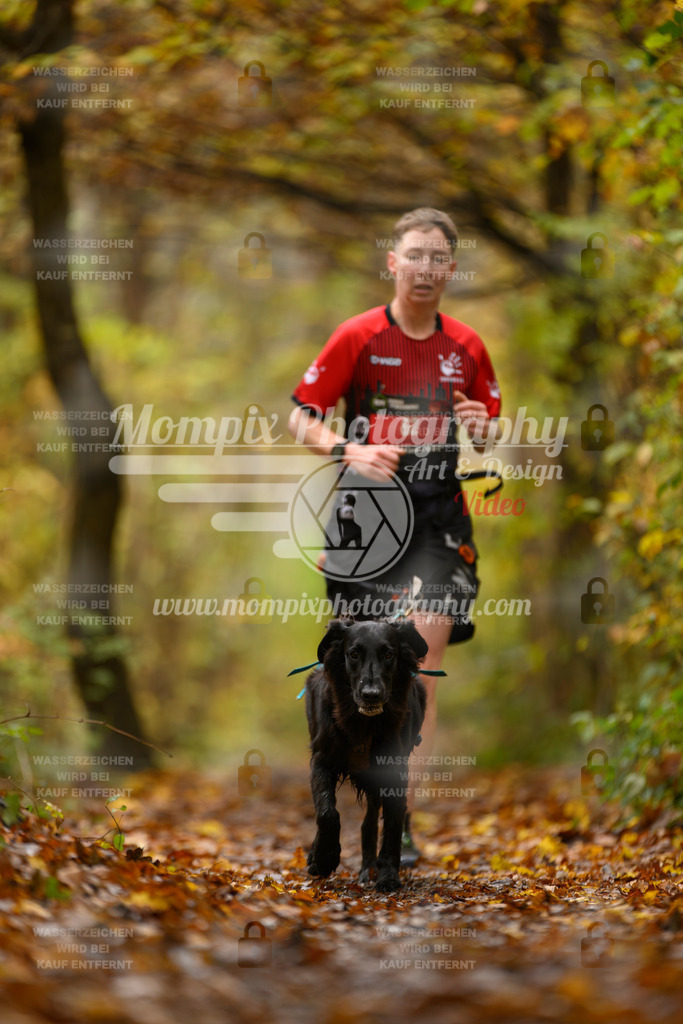 MompixPhotography_CD7S_DI_CCL-52 | mompixphotography