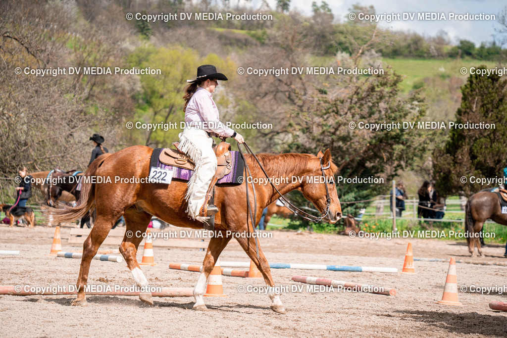 BAL02459 | dv-media-shop - Realisiert mit Pictrs.com