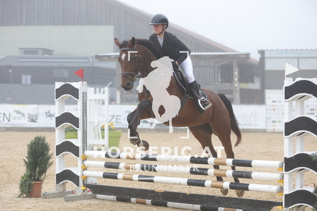 0P6A0481 | Willkommen bei Brunnmayr - Design & Fotografie – Ihrem Spezialisten für Reitturniere und Pferdeveranstaltungen in Oberösterreich, Salzburg und Bayern! Seit über 17 Jahren sind wir leidenschaftlich dabei.