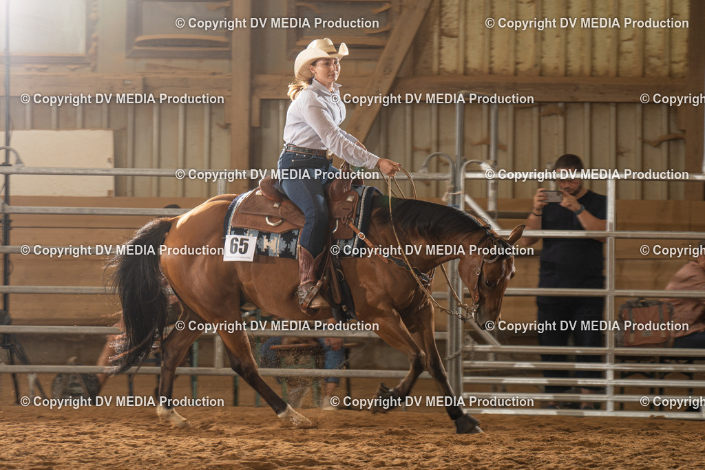 NID01699 | dv-media-shop - Realisiert mit Pictrs.com