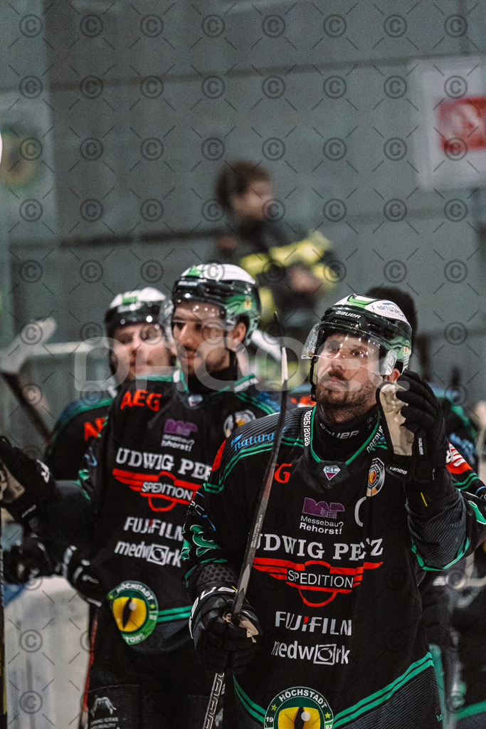 Alligators_vs_Lindau_20_02_2026-59 | Höchstadt Alligators Fotogalerie: Eishockey-Action aus Franken. Professionelle Spielfotos, Portraits & Stadionbilder zum Download. Jetzt entdecken! - Realisiert mit Pictrs.com