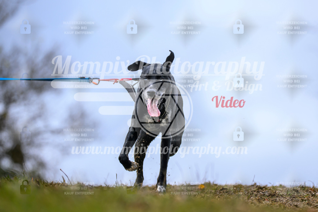 MompixPhotography_2OATB_SO_Run-60 | PayLife