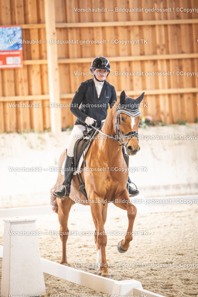 _D5A8409 | Emotionale Pferde- & People-Fotografie rund um Heidelberg, Leimen & Umgebung. Natürliche Fotos von Pferd, Mensch & Familie. Jetzt Termin sichern!