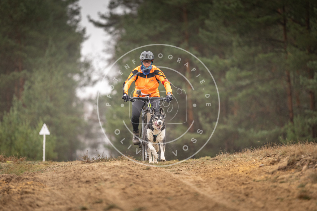 Pfotenfotografie_DV3A3729 | Hundefotografie, Tierfotograf, Pfotenfotografie, Fotoshooting Hund, Hunde Portrait, Hundesport, Hundeportraits, Heideshooting, Hunde, Sportfotograf, Hundefotograf, Turnierhundsport, THS,  - Realisiert mit Pictrs.com