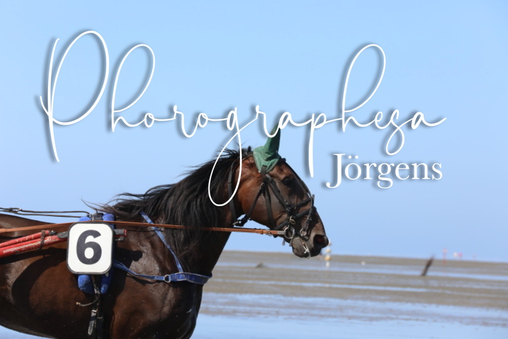 IMG_9490 | photographesa-joergens - Realisiert mit Pictrs.com