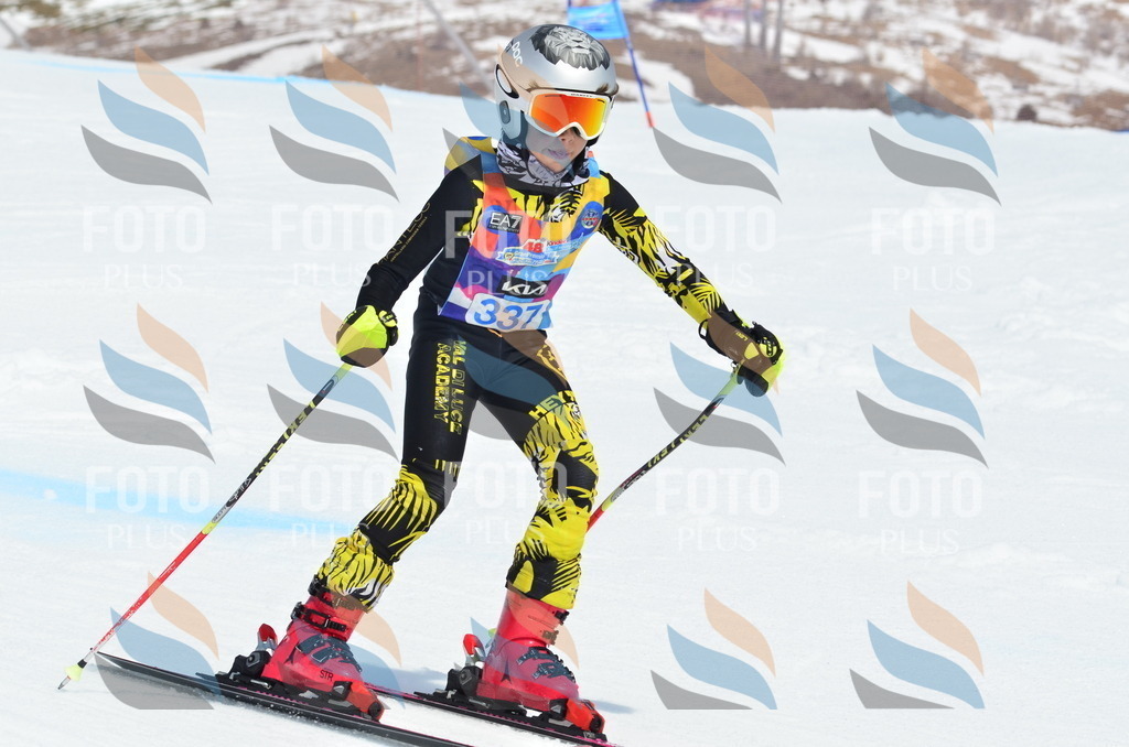 _ELE2504 | holidayphoto