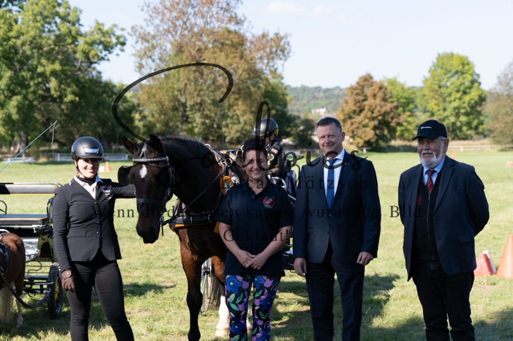 A7V04418 | Pferdefotograf