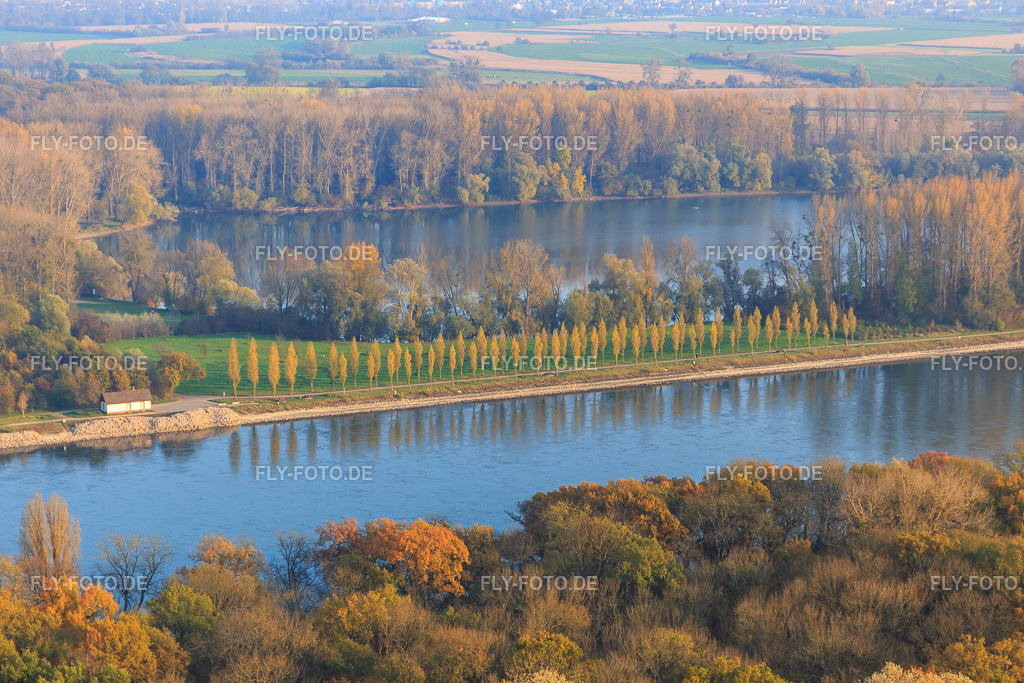 Pappelallee am Rhein | Luftbild: Pappelallee am Rhein in Linkenheim-Hochstetten im Bundesland Baden-Württemberg in Deutschland. Foto: IMG_104484.jpg vom 03.11.2017 durch Werner Riehm/FLY-FOTO.de - Realisiert mit Pictrs.com