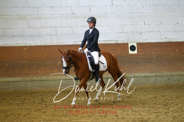 DKP43385 | Turniersportfotografie; Pferdefotografie; Dressurfotografie