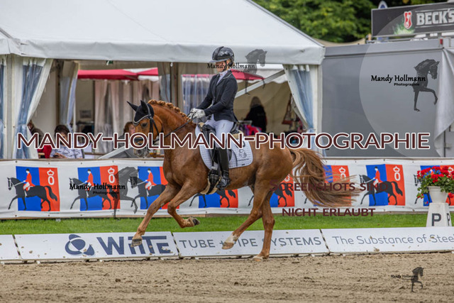 24.7.25 D1 33 (271 von 544) | mandyhollmannphotographie