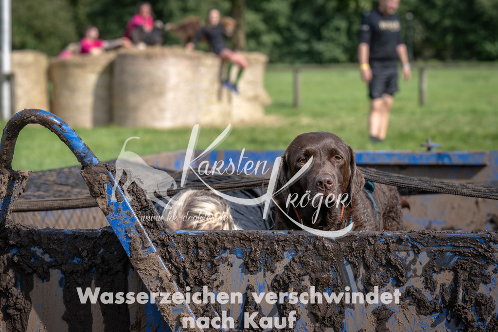 1413_ZZ91464 | kk-dogfotos