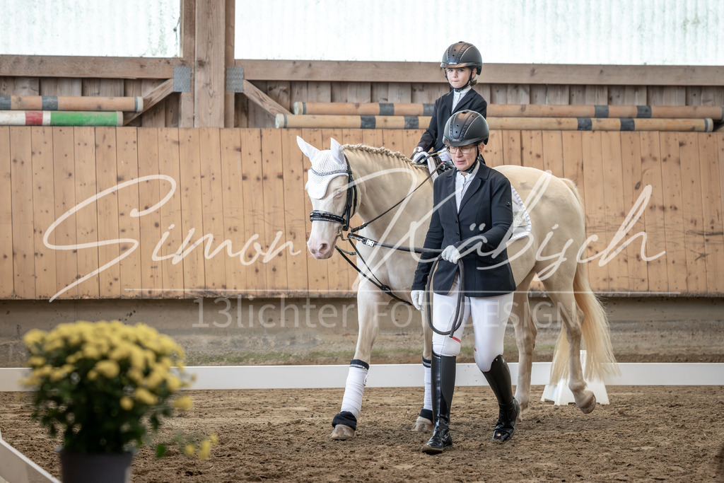 20251011-_3LI8896 | Tierfotografie Pferde, Hunde, Katzen, Haustiere.
Turnierfotografie Reitturniere, Reiten, Springreiten, Dressur in Hanau, dem Main-Kinzig-Kreis und dem Rhein-Main- Gebiet um Frankfurt