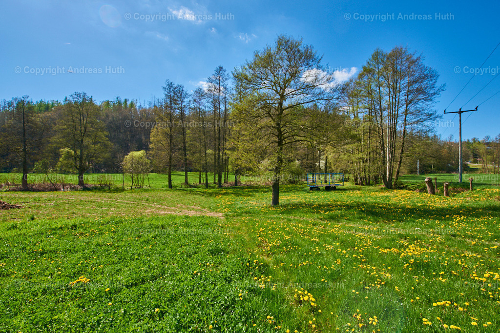 Im Triebischtal bei Neutanneberg 04 | Bedeutsame Landschaften Deutschlands - Realisiert mit Pictrs.com