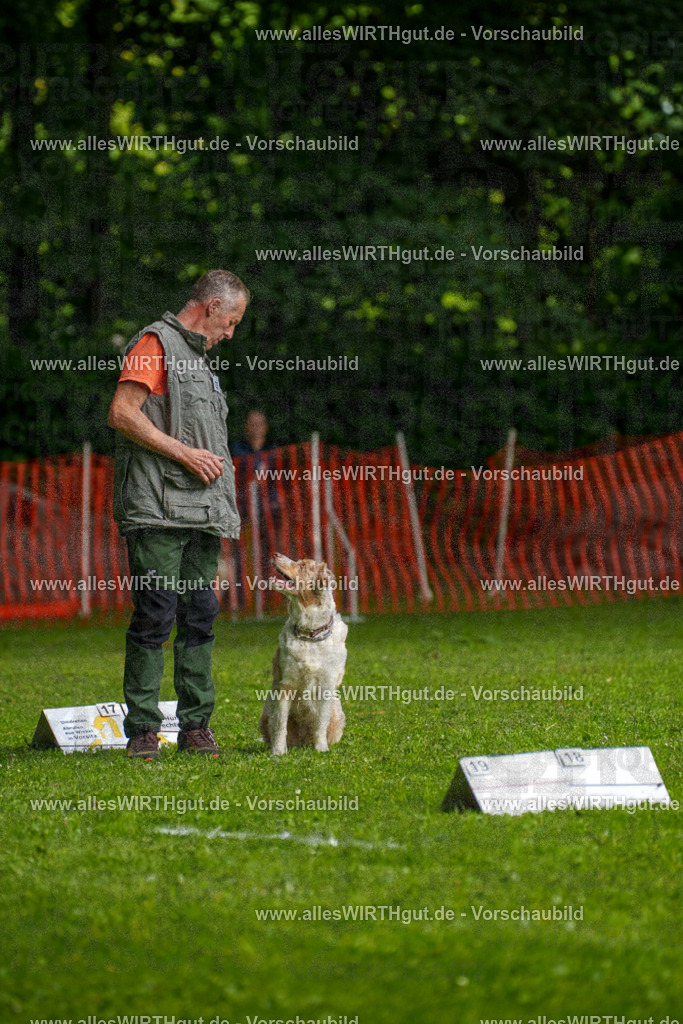 @allesWIRTHgut_Tierfotografie - www.allesWIRTHgut.de - 7R502870 | Professionelle Tierfotografie in Mönchengladbach von Daniel Wirth (allesWIRTHgut). Liebevolle & natürliche Bilder von Hunden & Katzen für unvergessliche Erinnerungen.