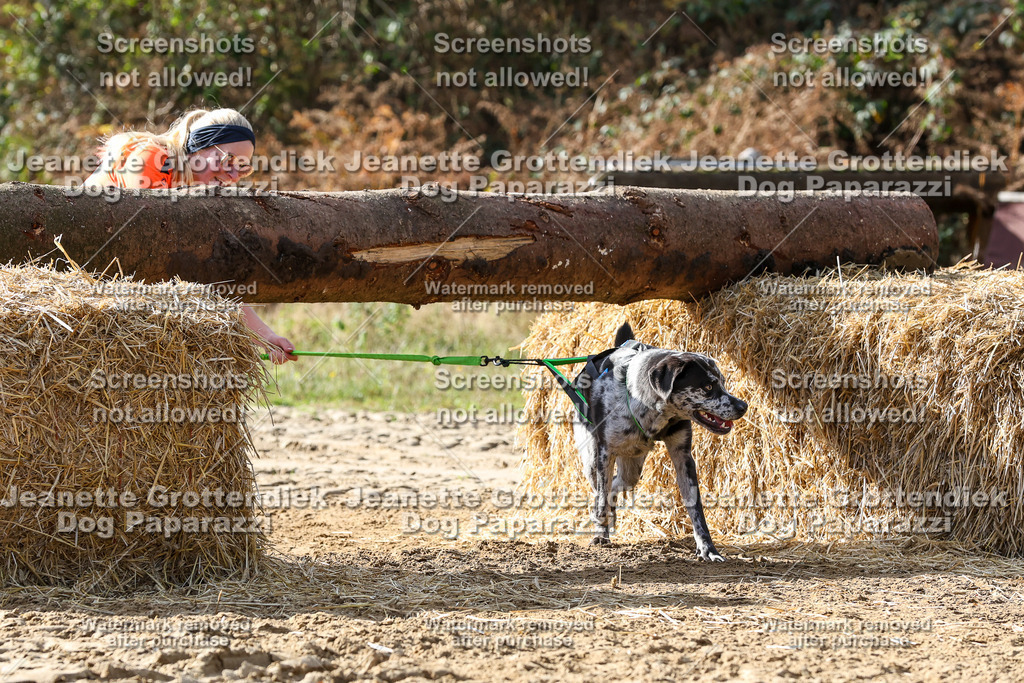 Dog Paparazzi - Strongdog 10-25-5739 | Dog Paparazzi Jeanette Grottendiek Fotografie & Videografie - Realisiert mit Pictrs.com