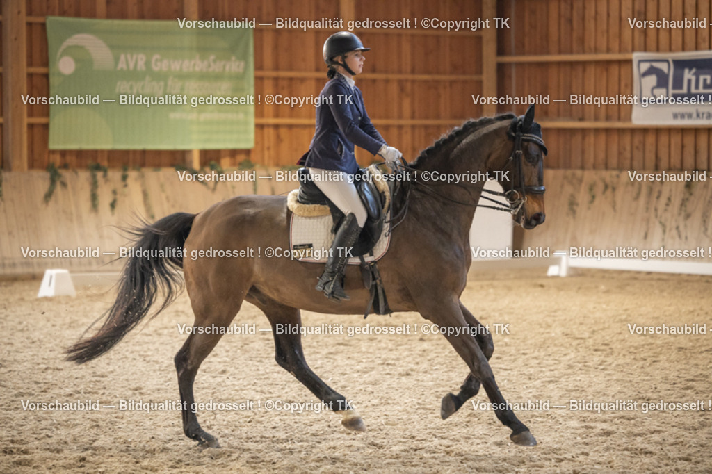 _D5A6645 | Emotionale Pferde- & People-Fotografie rund um Heidelberg, Leimen & Umgebung. Natürliche Fotos von Pferd, Mensch & Familie. Jetzt Termin sichern!