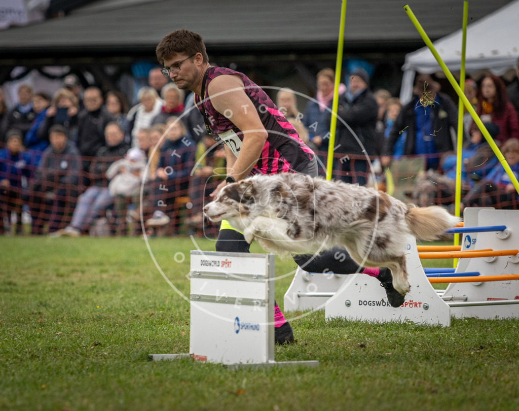 Pfotenfotografie_DV3A0253 | Hundefotografie, Tierfotograf, Pfotenfotografie, Fotoshooting Hund, Hunde Portrait, Hundesport, Hundeportraits, Heideshooting, Hunde, Sportfotograf, Hundefotograf, Turnierhundsport, THS,  - Realisiert mit Pictrs.com