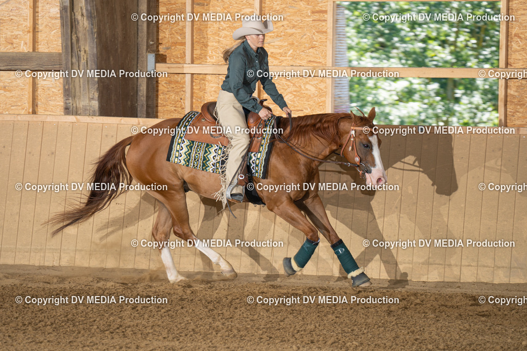 DSC00075 | dv-media-shop - Realisiert mit Pictrs.com