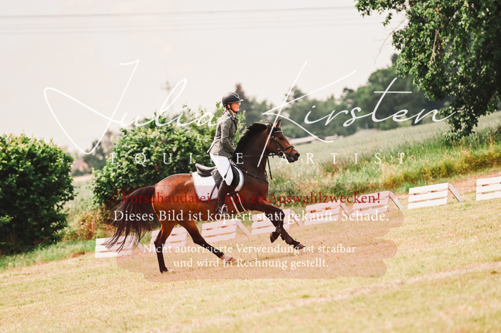DSC_6921 | Pferde- und Turnierfotografie in Westsachsen. Pferdeportraits, Auftragszeichnungen und intuitive Kunst.