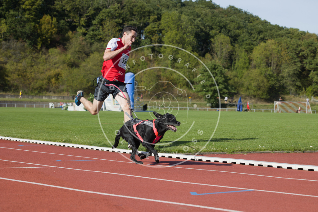 0L8A9615 | Hundefotografie, Tierfotograf, Pfotenfotografie, Fotoshooting Hund, Hunde Portrait, Hundesport, Hundeportraits, Heideshooting, Hunde, Sportfotograf, Hundefotograf, Turnierhundsport, THS,  - Realisiert mit Pictrs.com
