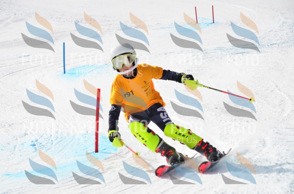 C8062 | holidayphoto