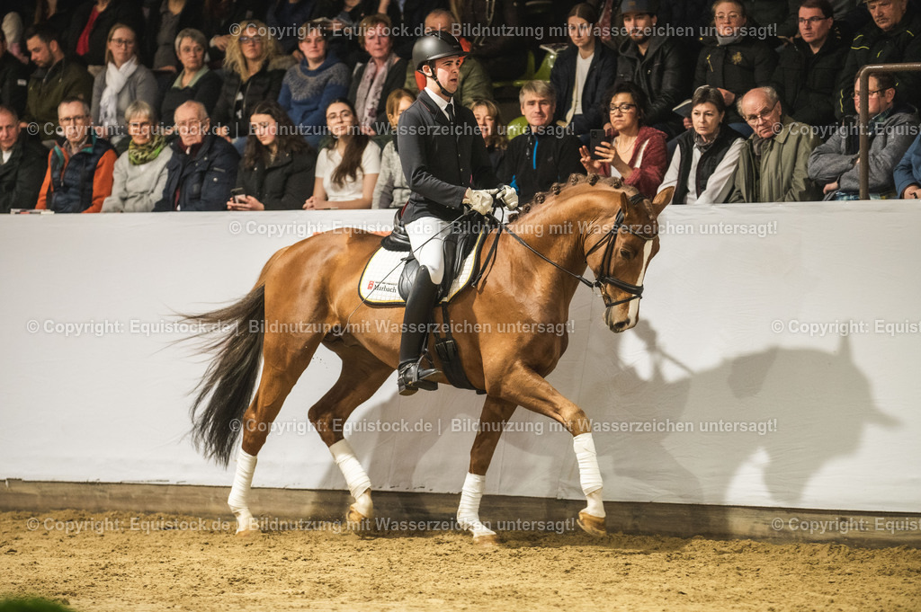 20240302_Hengstvorstellung_Marbach_TOMsPiC_0365-2 | equistock