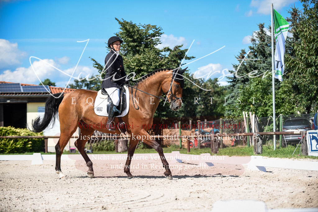 DSC_9661 | Pferde- und Turnierfotografie in Westsachsen. Pferdeportraits, Auftragszeichnungen und intuitive Kunst.