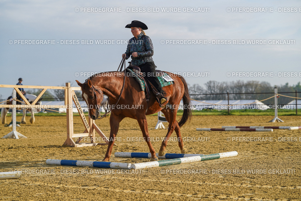 DSC00609 | Pferdegrafie