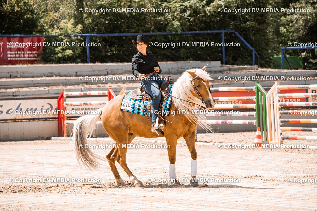 ZS3_0042 | dv-media-shop - Realisiert mit Pictrs.com