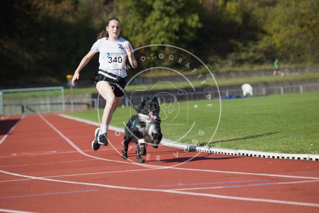 0L8A8863 | Hundefotografie, Tierfotograf, Pfotenfotografie, Fotoshooting Hund, Hunde Portrait, Hundesport, Hundeportraits, Heideshooting, Hunde, Sportfotograf, Hundefotograf, Turnierhundsport, THS,  - Realisiert mit Pictrs.com