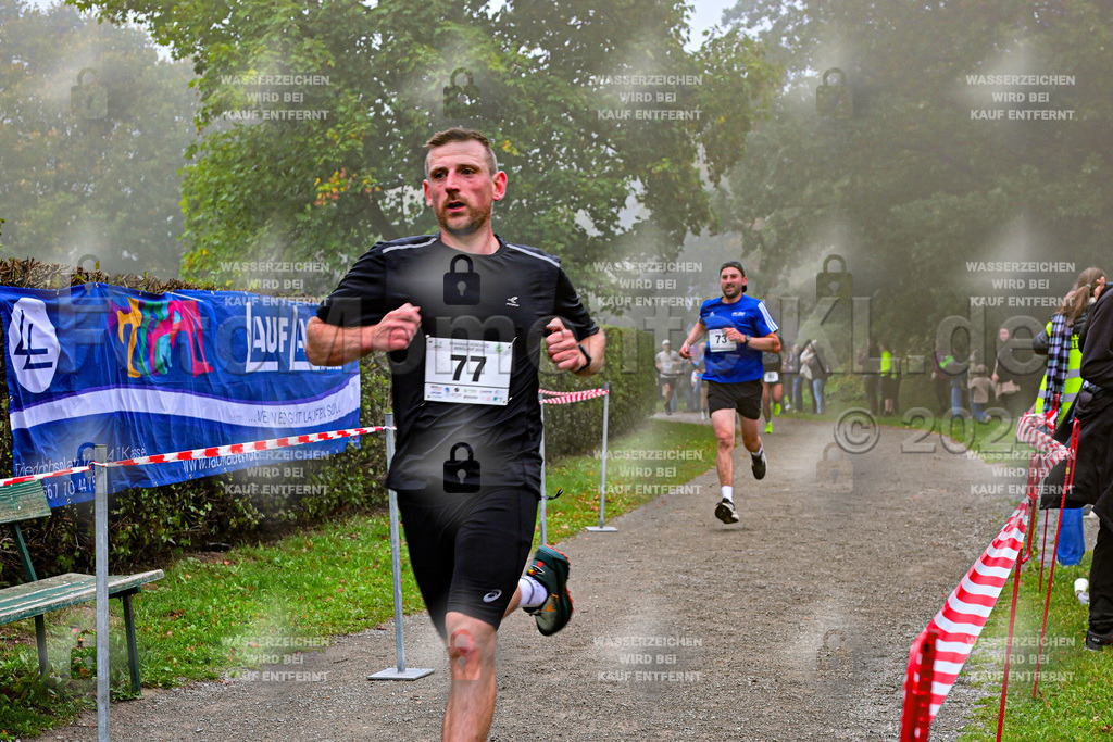 Z8N_1325 | la-psv - Realisiert mit Pictrs.com