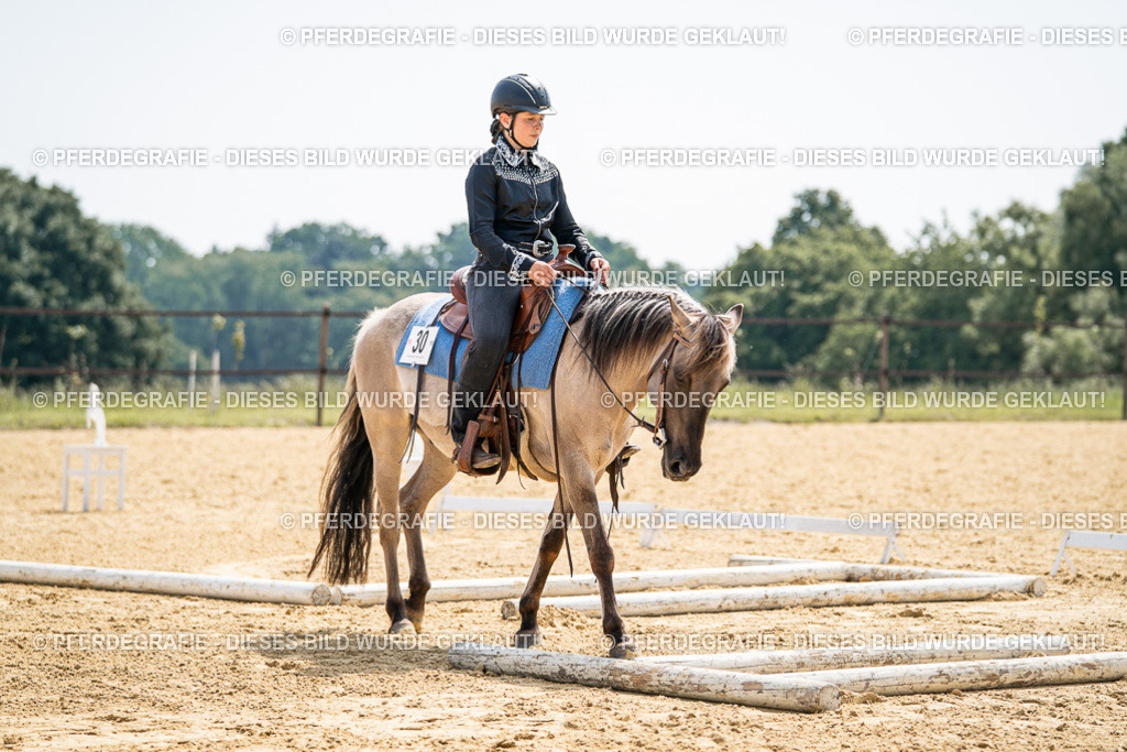 DSC09953 | Pferdegrafie