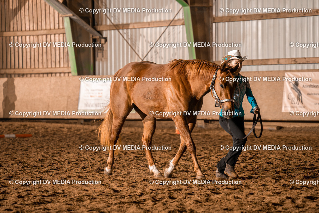 BAL01160 | dv-media-shop - Realisiert mit Pictrs.com