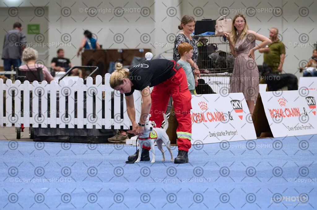 202406_ÖKV-IHA-Tulln24_DSC_3485 | proPHOTO - Realisiert mit Pictrs.com