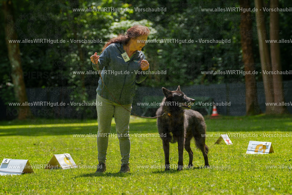 @allesWIRTHgut_Tierfotografie - www.allesWIRTHgut.de - 7R504670 | Professionelle Tierfotografie in Mönchengladbach von Daniel Wirth (allesWIRTHgut). Liebevolle & natürliche Bilder von Hunden & Katzen für unvergessliche Erinnerungen.
