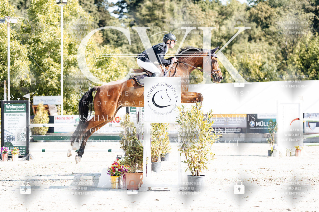 CK902445 | Turnierfotografie Pferdefotografie Trier Rheinland-Pfalz Pferdesport Reitsport Tierfotografie Sportfotografie Pferdevideo Pferdevideografie Equestrianvideography equestrianphotography  - Realisiert mit Pictrs.com