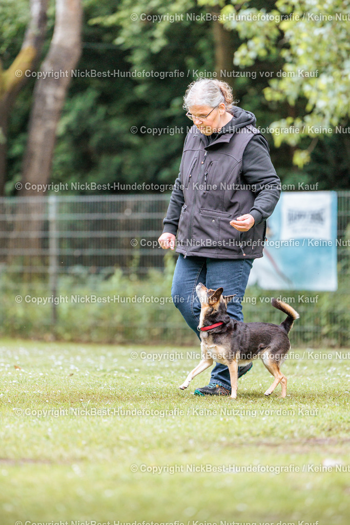 RO-Blumenthal-2026-Nickbest-Hundefotografie-4494 | Dein Hund! Dein Moment! Deine Erinnerungen! Hundefotografie in Bremen Blumenthal. Ich fange die besonderen Momente deines Vierbeiners ein – ob Indoor mit Blitzanlage oder in der freien Natur. Sicher dir dein Moment und dein Termin für eure Erinnerungen.