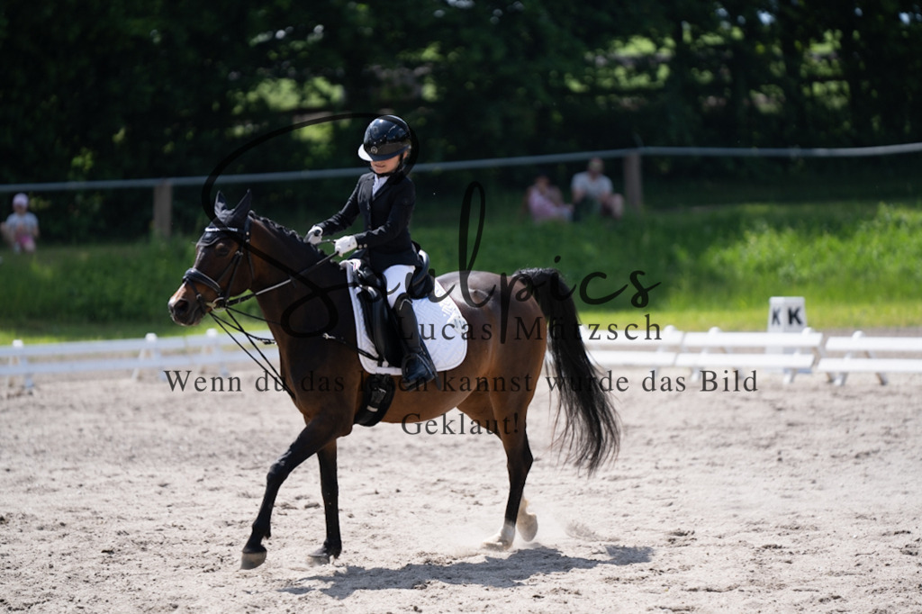 A7V02934 | Pferdefotograf