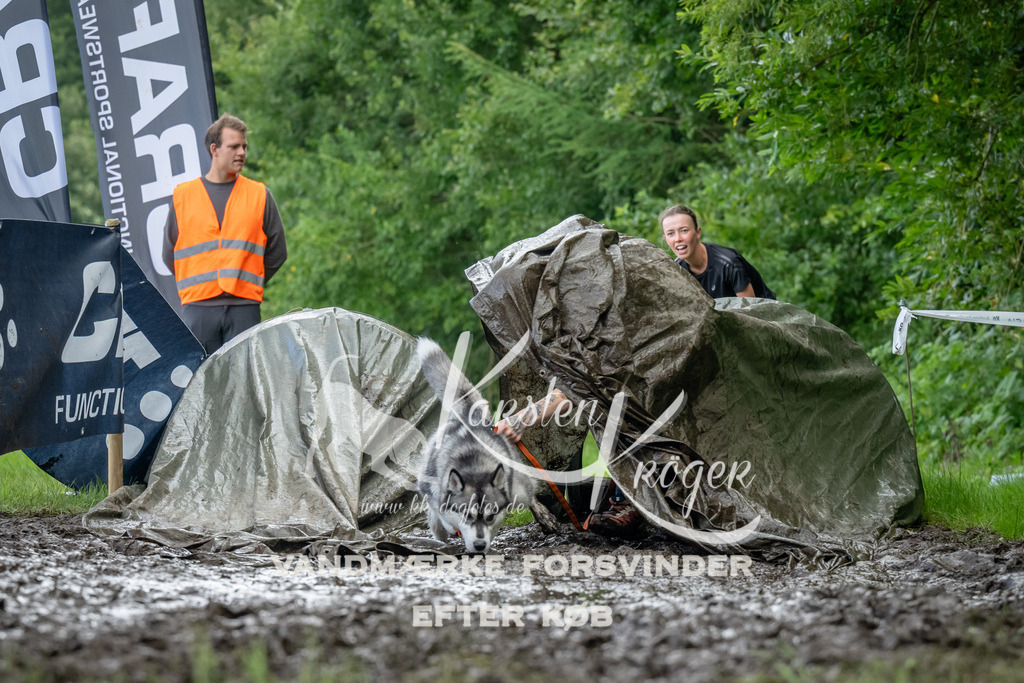 1156_ZZ90454 | kk-dogfotos