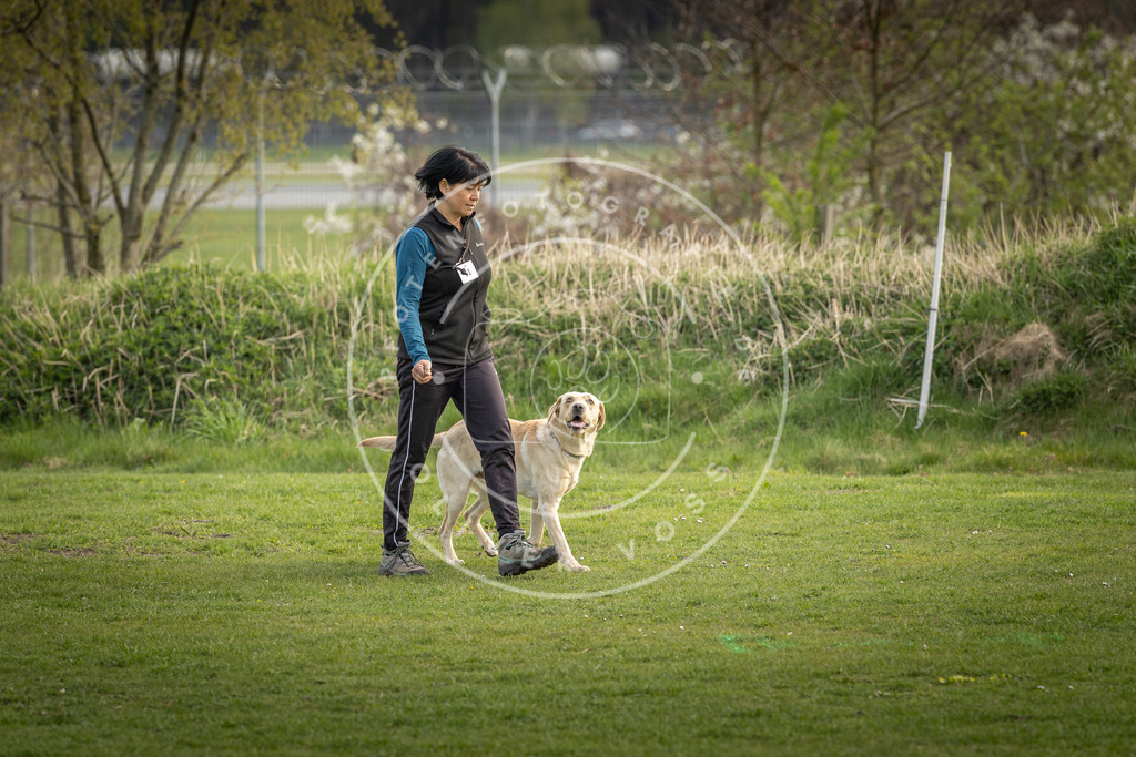 Pfotenfotografie_DV3A4919 | Hundefotografie, Tierfotograf, Pfotenfotografie, Fotoshooting Hund, Hunde Portrait, Hundesport, Hundeportraits, Heideshooting, Hunde, Sportfotograf, Hundefotograf, Turnierhundsport, THS,  - Realisiert mit Pictrs.com