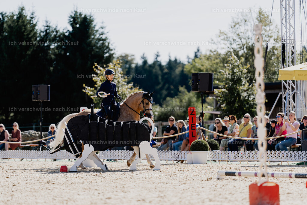 Nici11_FHC2025-09087 | working equitationturnier fotograf videograf stoibphotography marixx film working equitation deutschland reitsport turnierfotografie eventfotografie equestrian events
