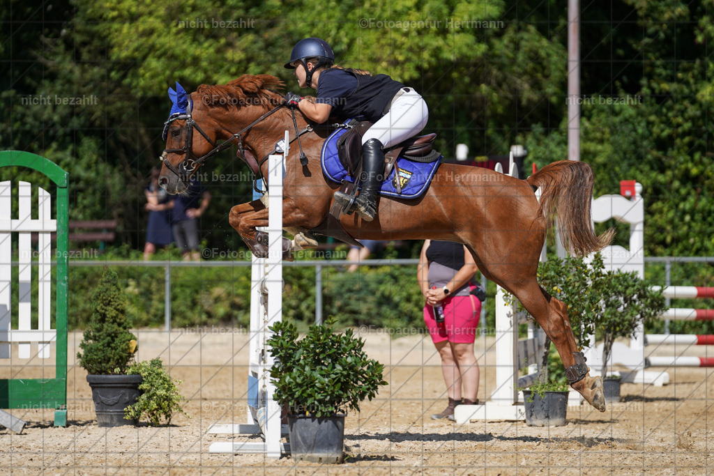 20240824-FAH08265 | Thierhaupten 2024, Bayerisches Landesponyturnier, Turnierbilder, Ponybilder, Turnierfotografen Bayern, Fotoagentur Herrmann
