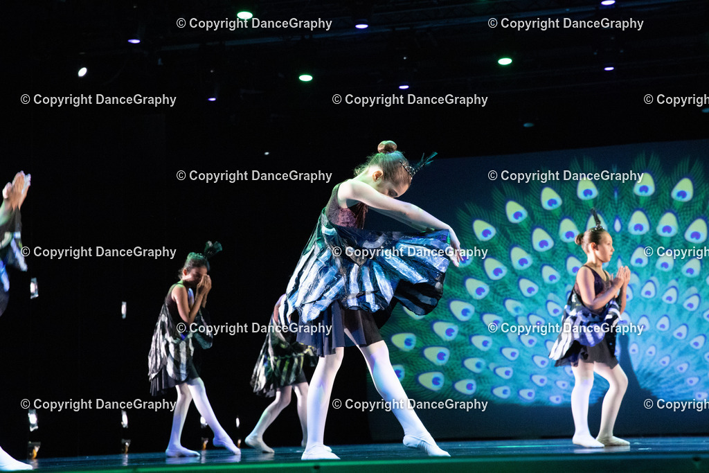 GPHY6166 | DanceGraphy - Realisiert mit Pictrs.com