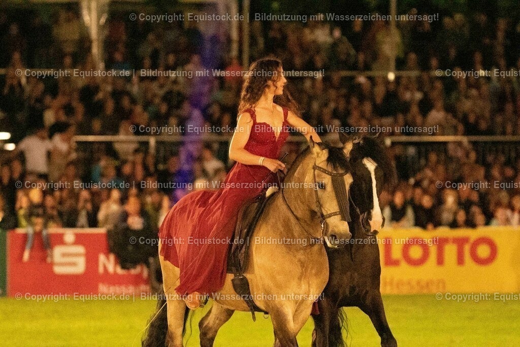 20230526_Pferdenacht_1434 | equistock